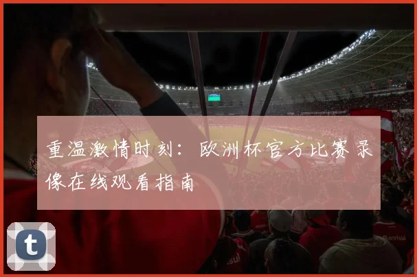 重温激情时刻：欧洲杯官方比赛录像在线观看指南
