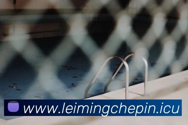 多媒体互动体验