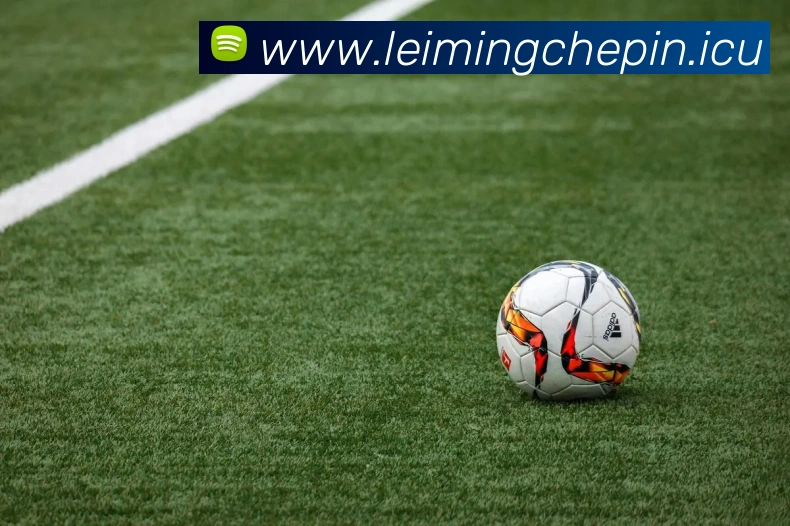 江南jn体育官网APP 高清赛事图